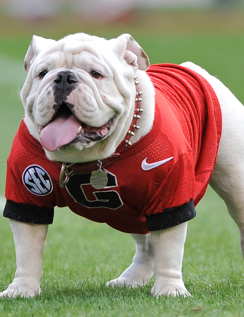 Georgia Bulldogs Sports Marketing - JMI Sports